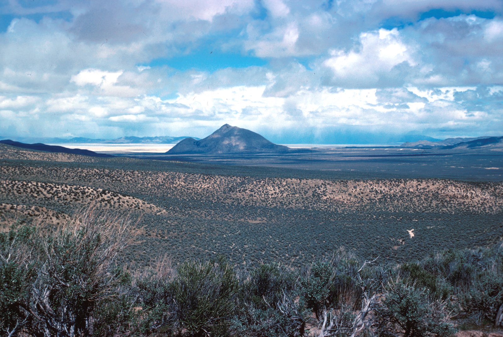 Old Razorback Mountain (1969).jpg