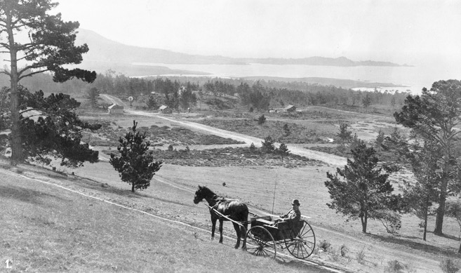 View of Carmel City.jpg