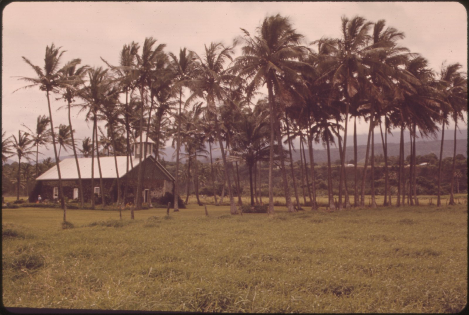 CHURCH IN RURAL DISTRICT ALONG HIGHWAY 36 NEAR HANA. RURAL DISTRICTS ARE COMPOSED OF LOW DENSITY RESIDENTIAL LOTS OF... - NARA - 554086.jpg