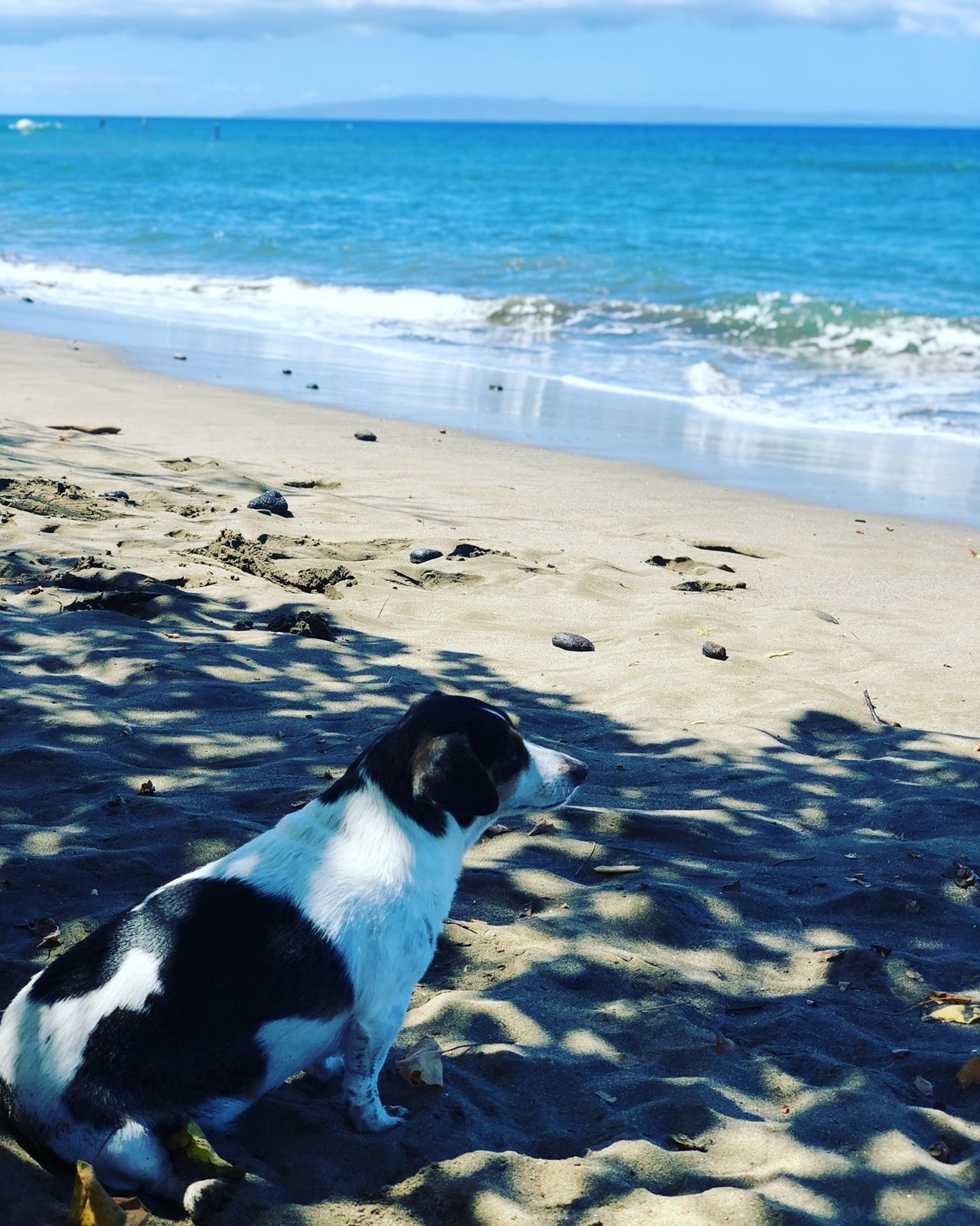 Maui, Hawaii