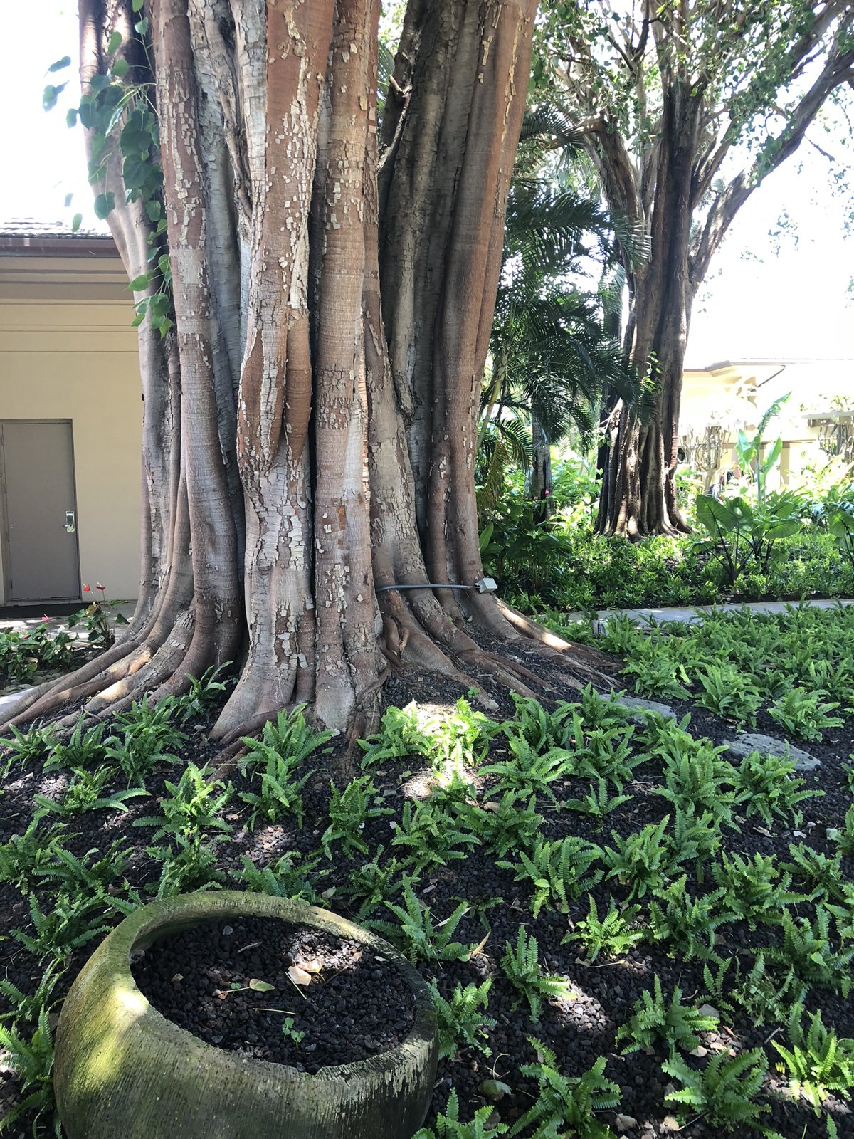 Maui, Hawaii