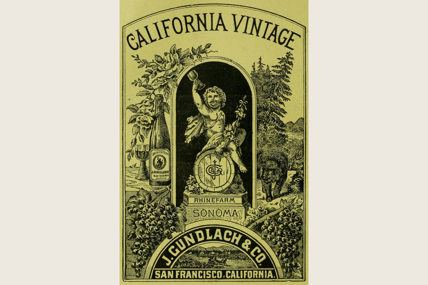 A Rhinefarm California Vintage label