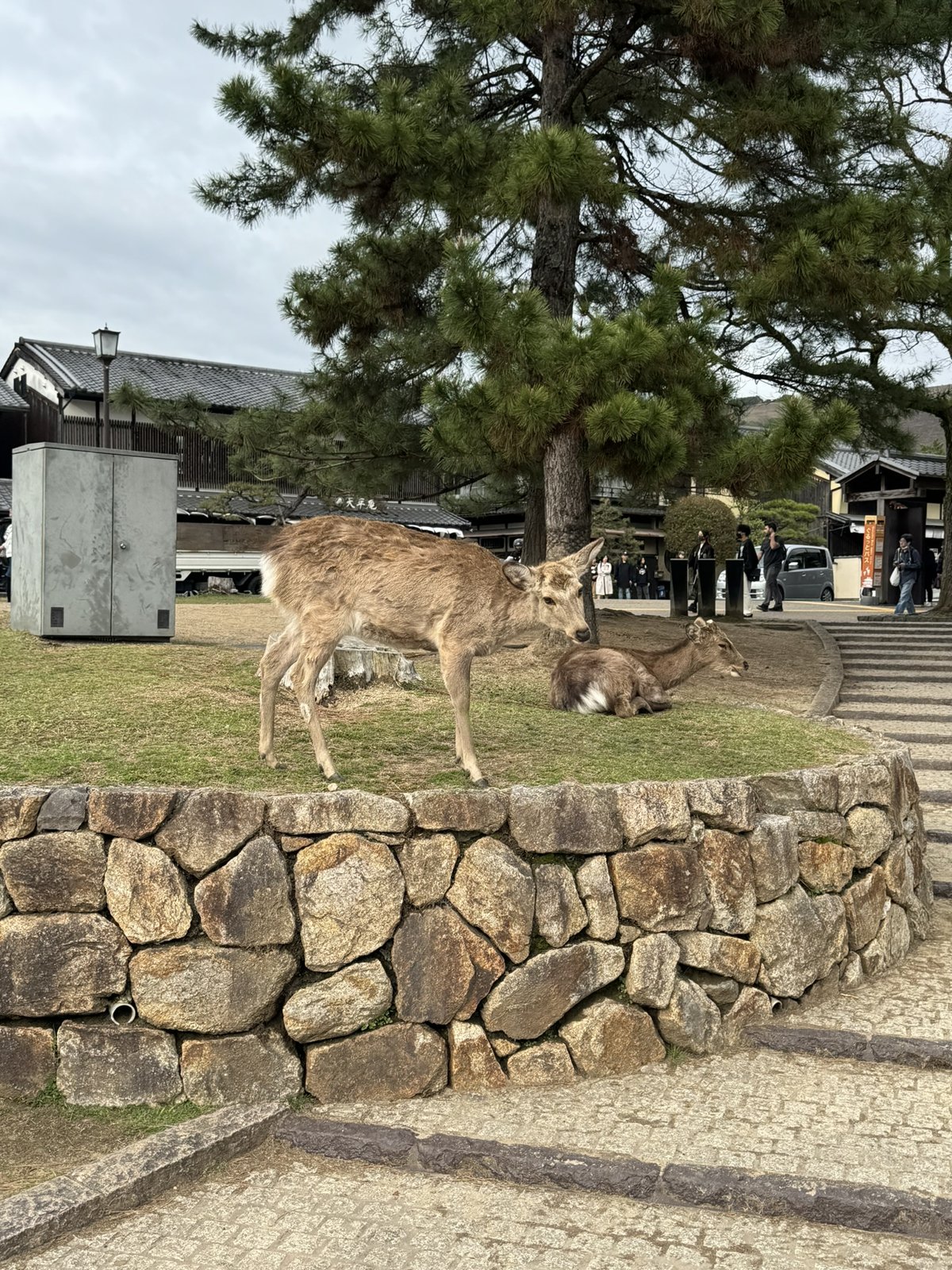 Japan