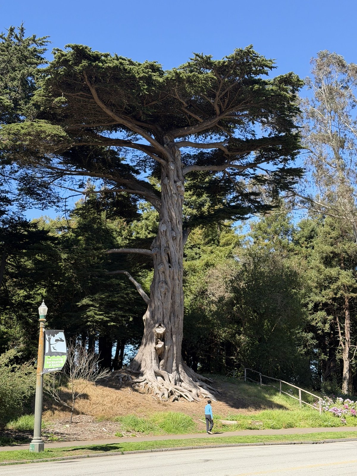 San Francisco 10
