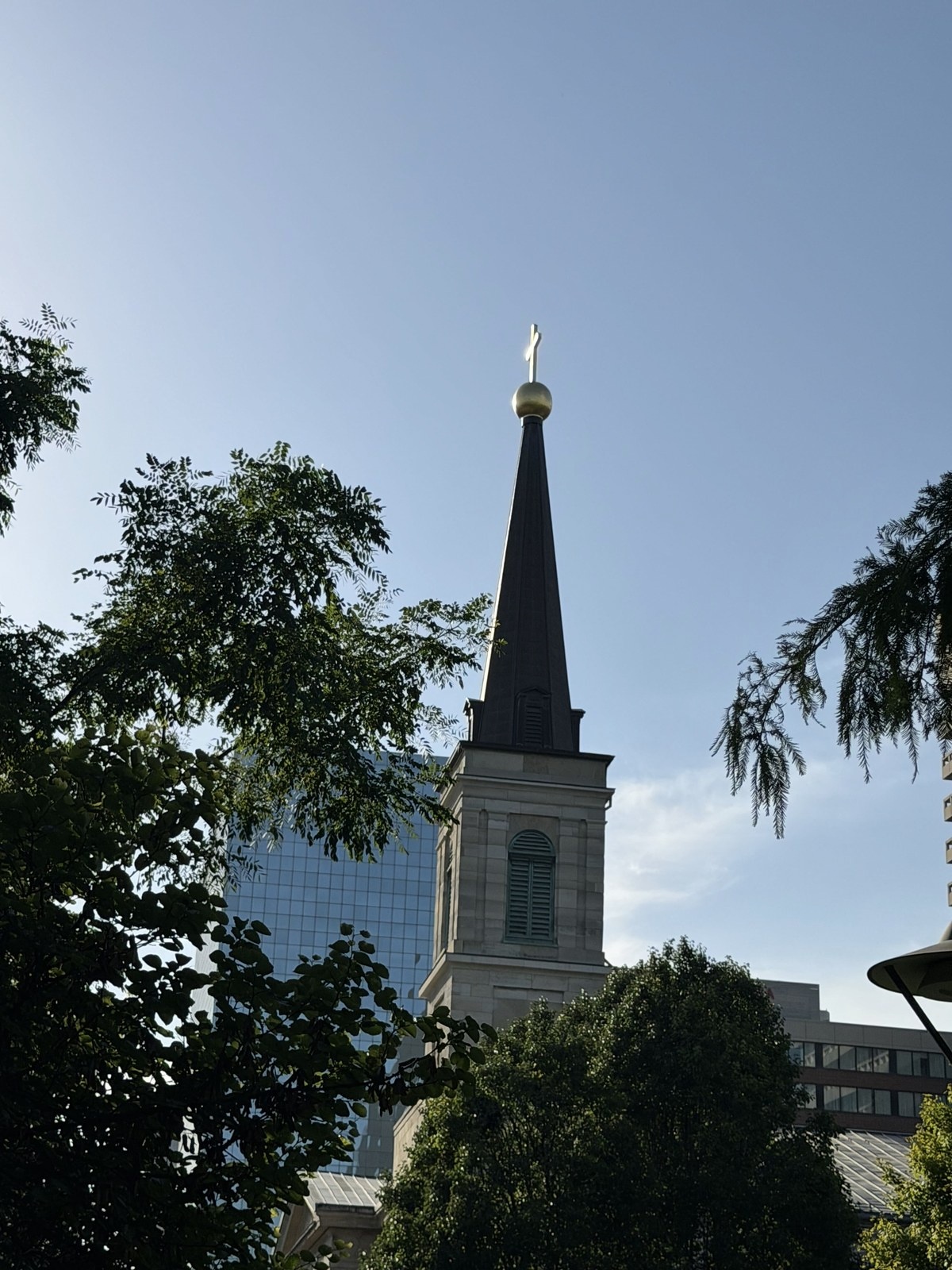 Basilica of Saint Louis, King of France (The Old Cathedral)
