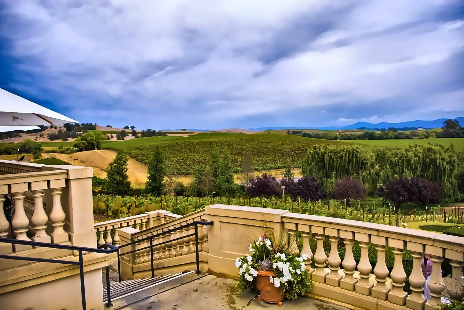 Domaine Carneros photo 2