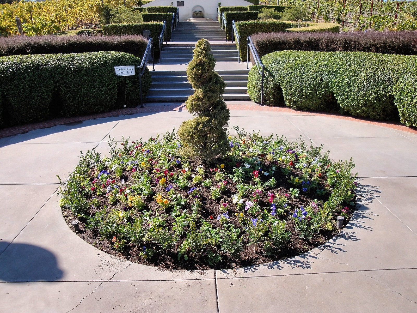 Domaine Carneros photo 3