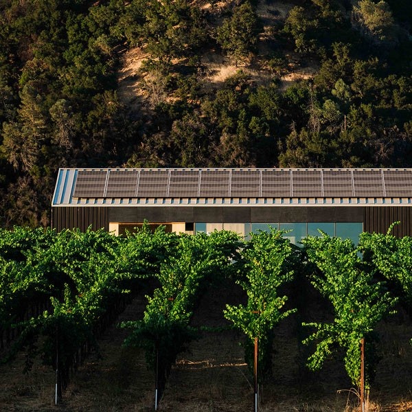 Silver Oak photo 6